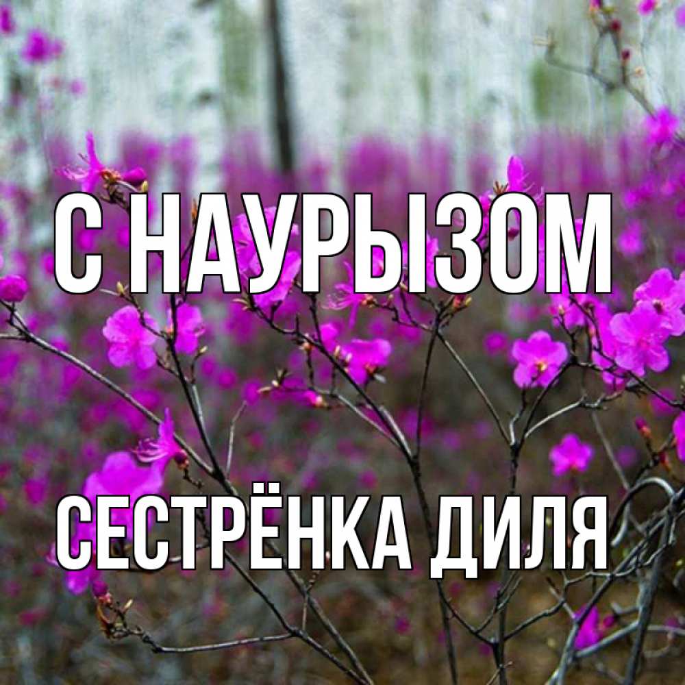 Открытка на каждый день с именем, Сестрёнка-Диля С наурызом дикие цветы Прикольная открытка с пожеланием онлайн скачать бесплатно 