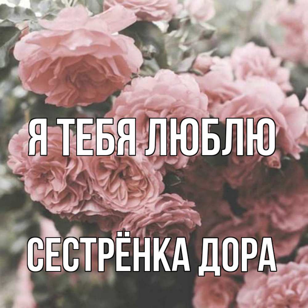 Открытка на каждый день с именем, Сестрёнка-Дора Я тебя люблю розы 3 Прикольная открытка с пожеланием онлайн скачать бесплатно 