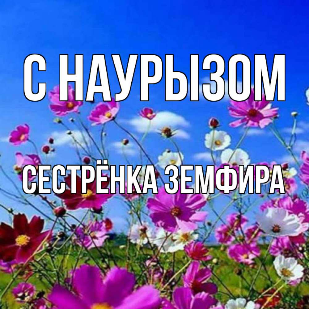 Открытка на каждый день с именем, Сестрёнка-Земфира С наурызом цветы Прикольная открытка с пожеланием онлайн скачать бесплатно 