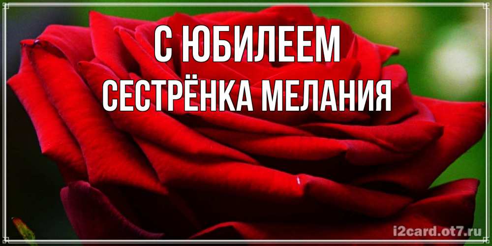 Открытка на каждый день с именем, Сестрёнка-Мелания С юбилеем розочка очень красивая Прикольная открытка с пожеланием онлайн скачать бесплатно 