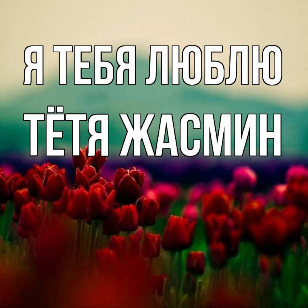 Открытка на каждый день с именем, Тётя-Жасмин Я тебя люблю тюльпаны 4 Прикольная открытка с пожеланием онлайн скачать бесплатно 