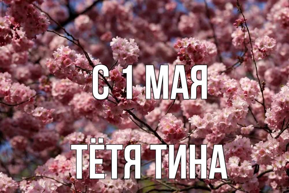 Открытка на каждый день с именем, Тётя-Тина С 1 мая С 1 мая Прикольная открытка с пожеланием онлайн скачать бесплатно 
