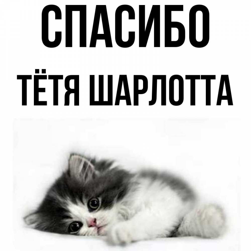 Открытка на каждый день с именем, Тётя-Шарлотта Спасибо черный и белый кот Прикольная открытка с пожеланием онлайн скачать бесплатно 