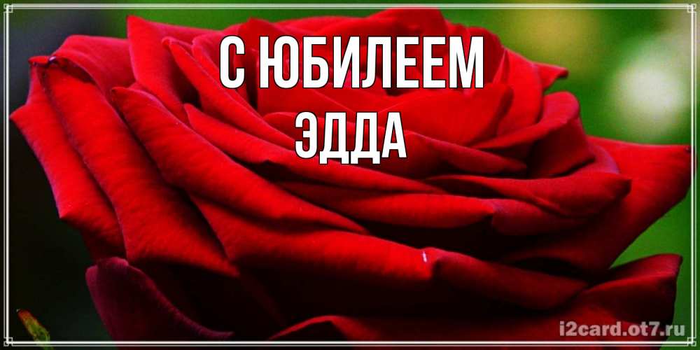 Открытка на каждый день с именем, Эдда С юбилеем розочка очень красивая Прикольная открытка с пожеланием онлайн скачать бесплатно 
