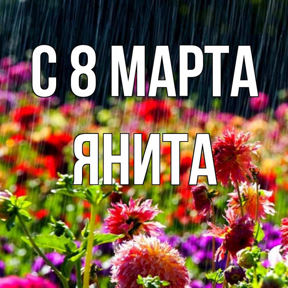 Открытка на каждый день с именем, Янита С 8 марта цветы под дождиком к международному женскому дню Прикольная открытка с пожеланием онлайн скачать бесплатно 