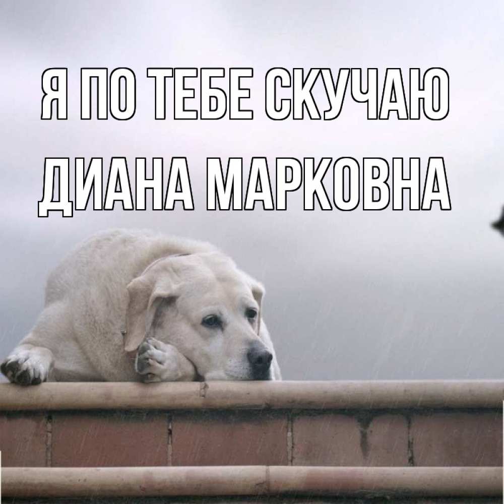 Картинки скучашки для мужчины