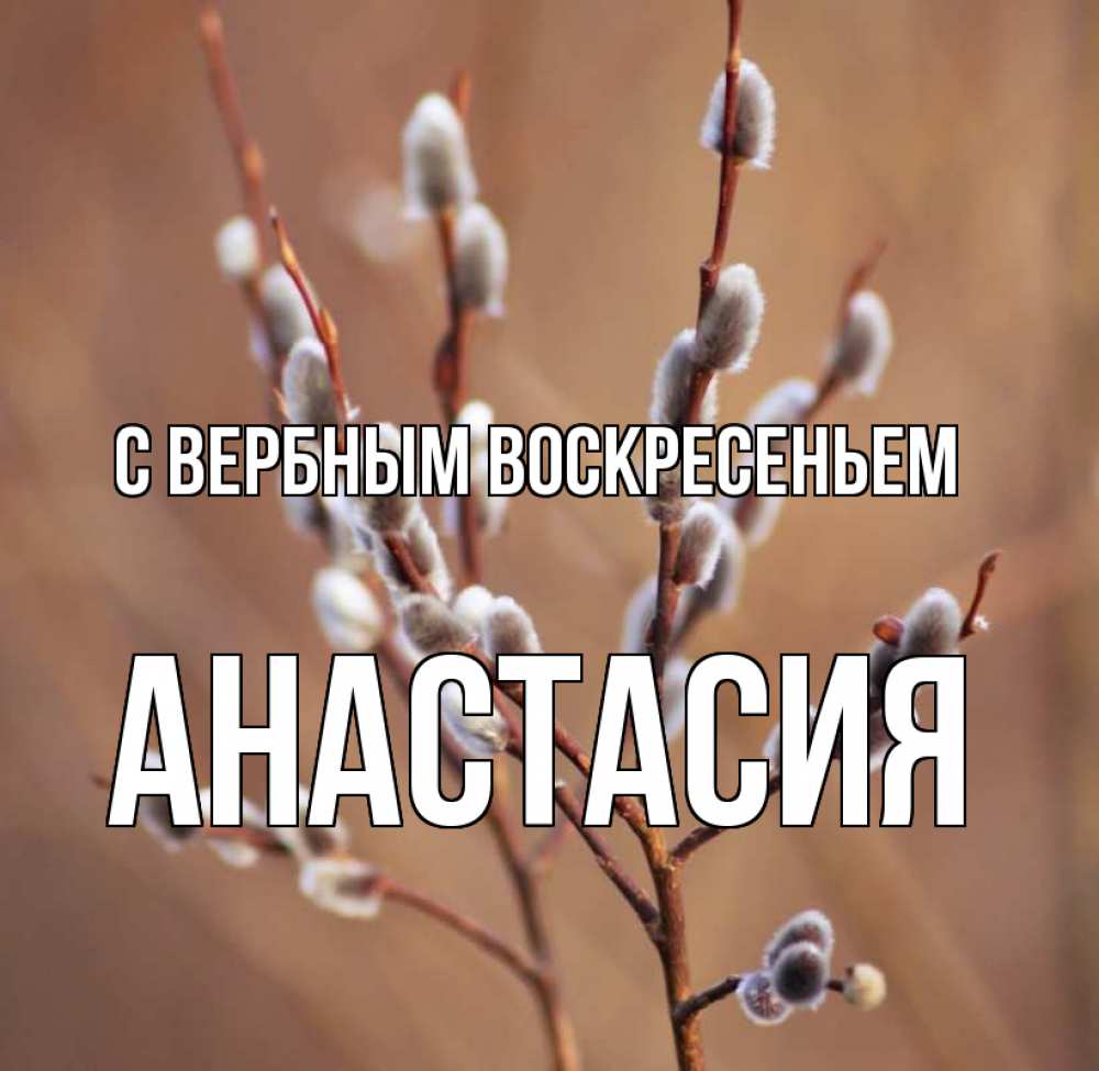 Открытка на каждый день с именем, Анастасия С вербным воскресеньем верба Прикольная открытка с пожеланием онлайн скачать бесплатно 