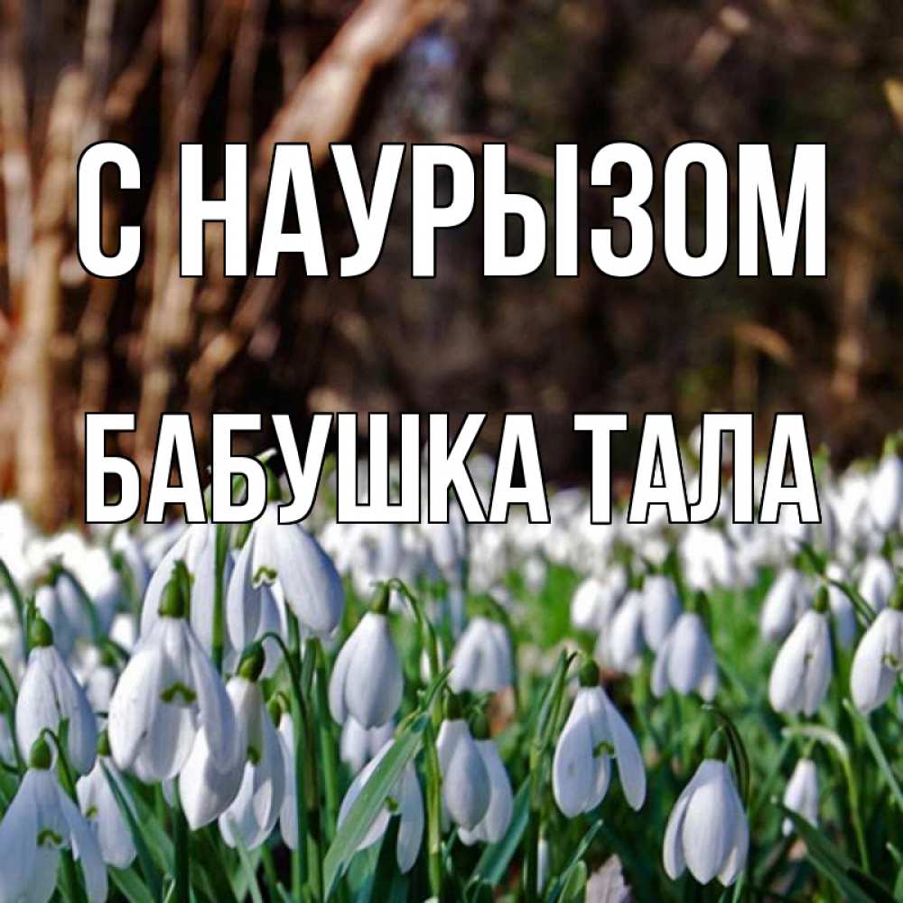 Открытка на каждый день с именем, Бабушка-Тала С наурызом с подснежниками 1 Прикольная открытка с пожеланием онлайн скачать бесплатно 