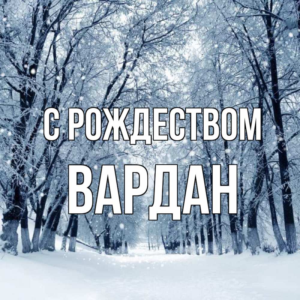 Открытка на каждый день с именем, Вардан С рождеством снег, лес, парк Прикольная открытка с пожеланием онлайн скачать бесплатно 