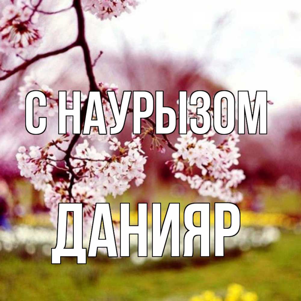 Открытка на каждый день с именем, Данияр С наурызом яблоня Прикольная открытка с пожеланием онлайн скачать бесплатно 