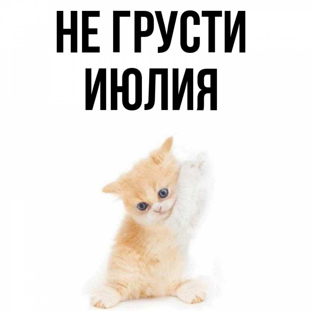 Открытка на каждый день с именем, Июлия Не грусти просящий кот Прикольная открытка с пожеланием онлайн скачать бесплатно 