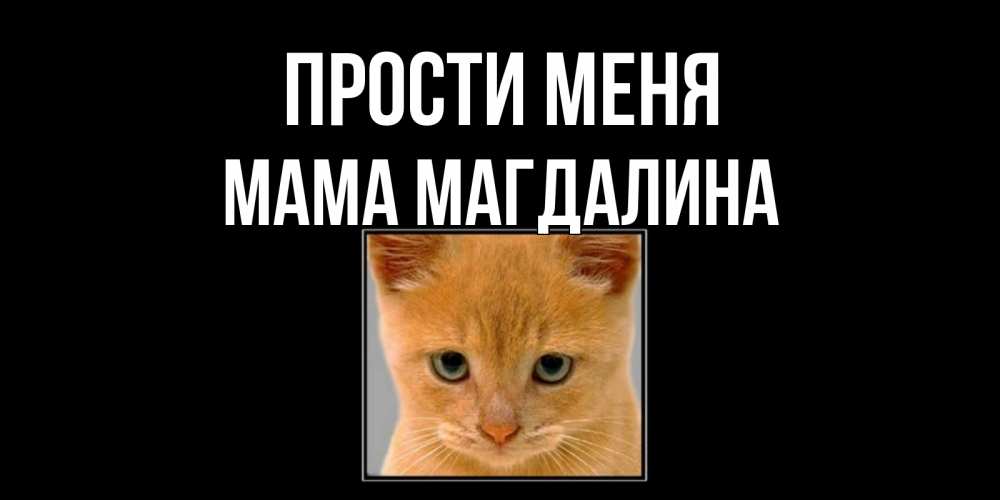 Открытка на каждый день с именем, Мама-Магдалина Прости меня рыжий грустный кот просит прощения Прикольная открытка с пожеланием онлайн скачать бесплатно 