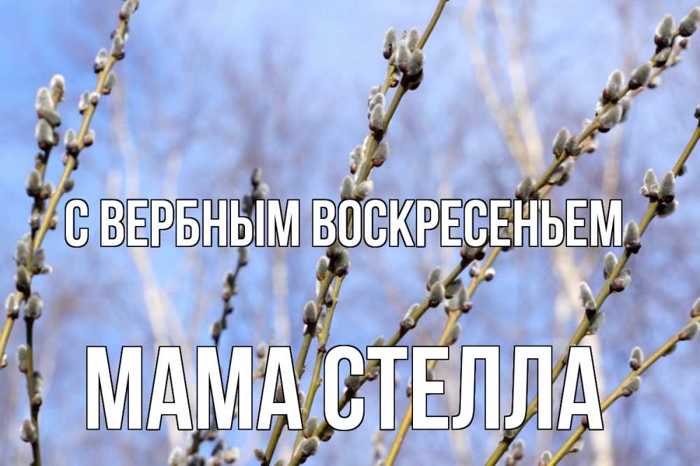 Открытка на каждый день с именем, Мама-Стелла С вербным воскресеньем верба Прикольная открытка с пожеланием онлайн скачать бесплатно 
