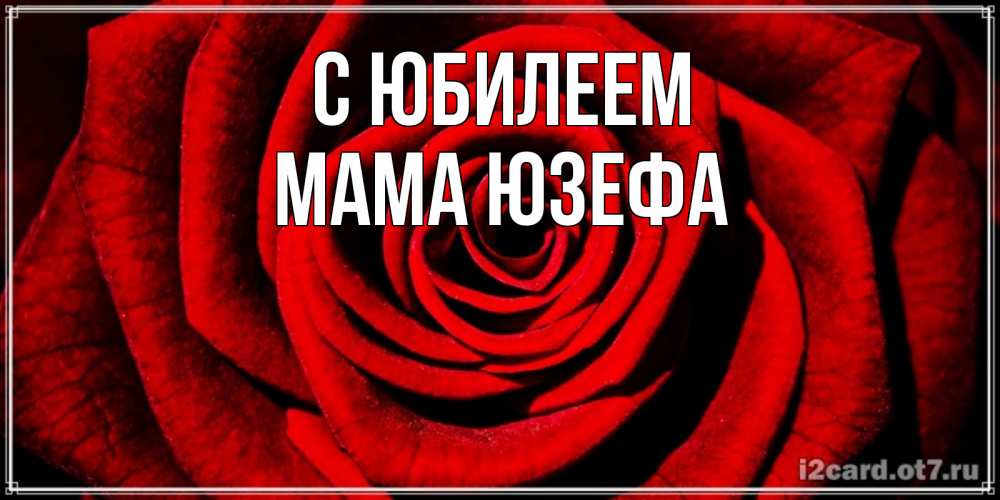 Открытка на каждый день с именем, Мама-Юзефа С юбилеем алая роза Прикольная открытка с пожеланием онлайн скачать бесплатно 