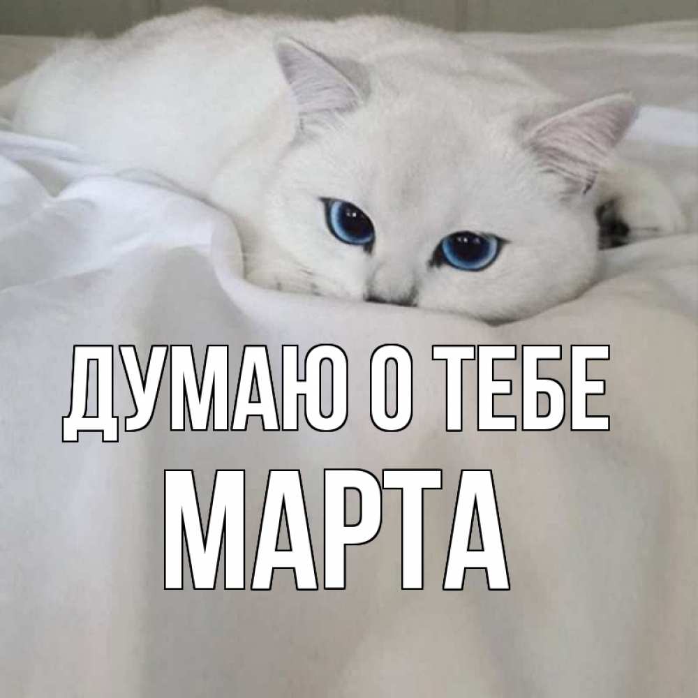Открытка на каждый день с именем, Марта Думаю о тебе я очень по тебе скучаю и тоскую Прикольная открытка с пожеланием онлайн скачать бесплатно 