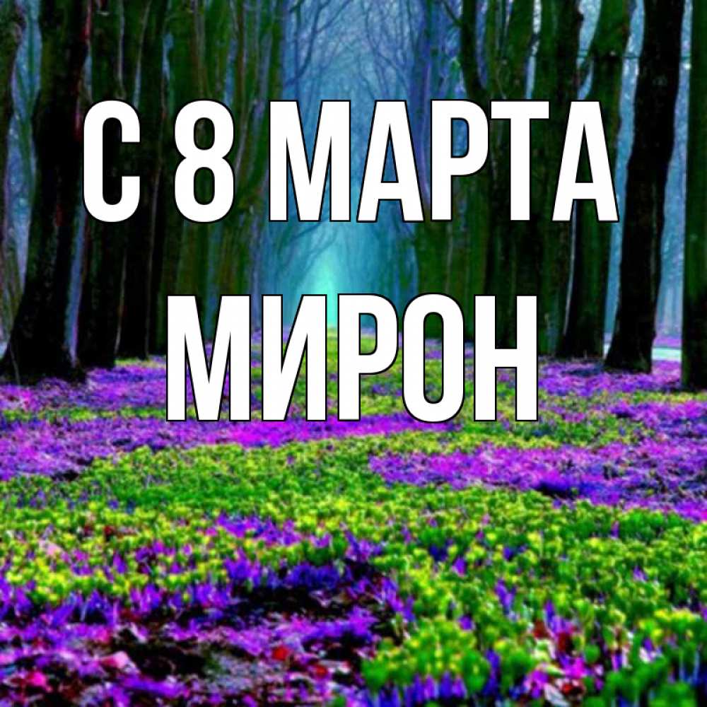 Открытка на каждый день с именем, Мирон С 8 марта фиолетовые цветы в лесу 1 Прикольная открытка с пожеланием онлайн скачать бесплатно 