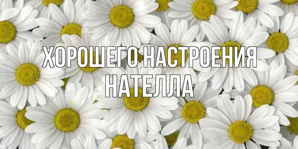 Открытка на каждый день с именем, Нателла Хорошего настроения поляна ромашек Прикольная открытка с пожеланием онлайн скачать бесплатно 