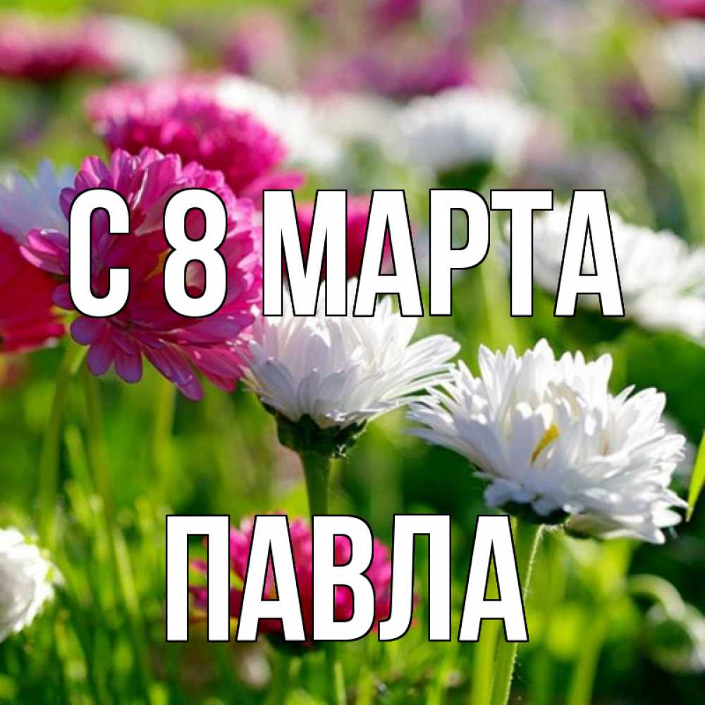 Открытка на каждый день с именем, Павла С 8 марта международный женский день 1 Прикольная открытка с пожеланием онлайн скачать бесплатно 