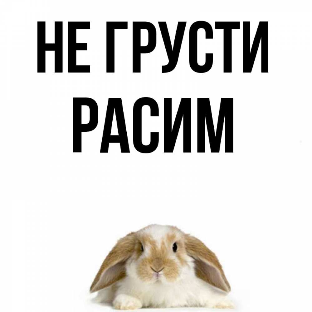 Открытка на каждый день с именем, Расим Не грусти коричнево белый заяц с большими ушками Прикольная открытка с пожеланием онлайн скачать бесплатно 