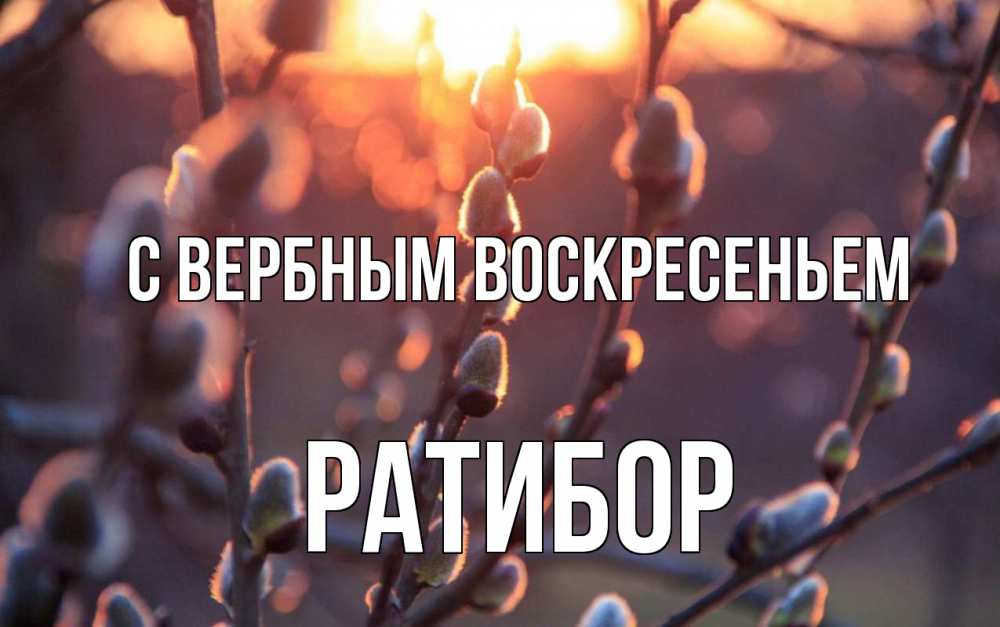 Открытка на каждый день с именем, Ратибор С вербным воскресеньем верба Прикольная открытка с пожеланием онлайн скачать бесплатно 