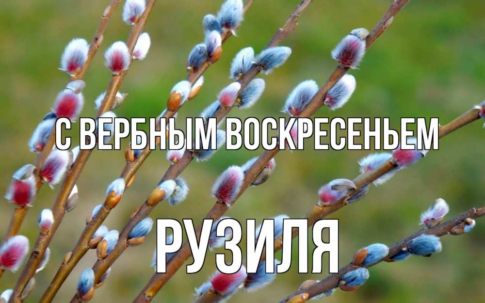 Открытка на каждый день с именем, Рузиля С вербным воскресеньем верба Прикольная открытка с пожеланием онлайн скачать бесплатно 
