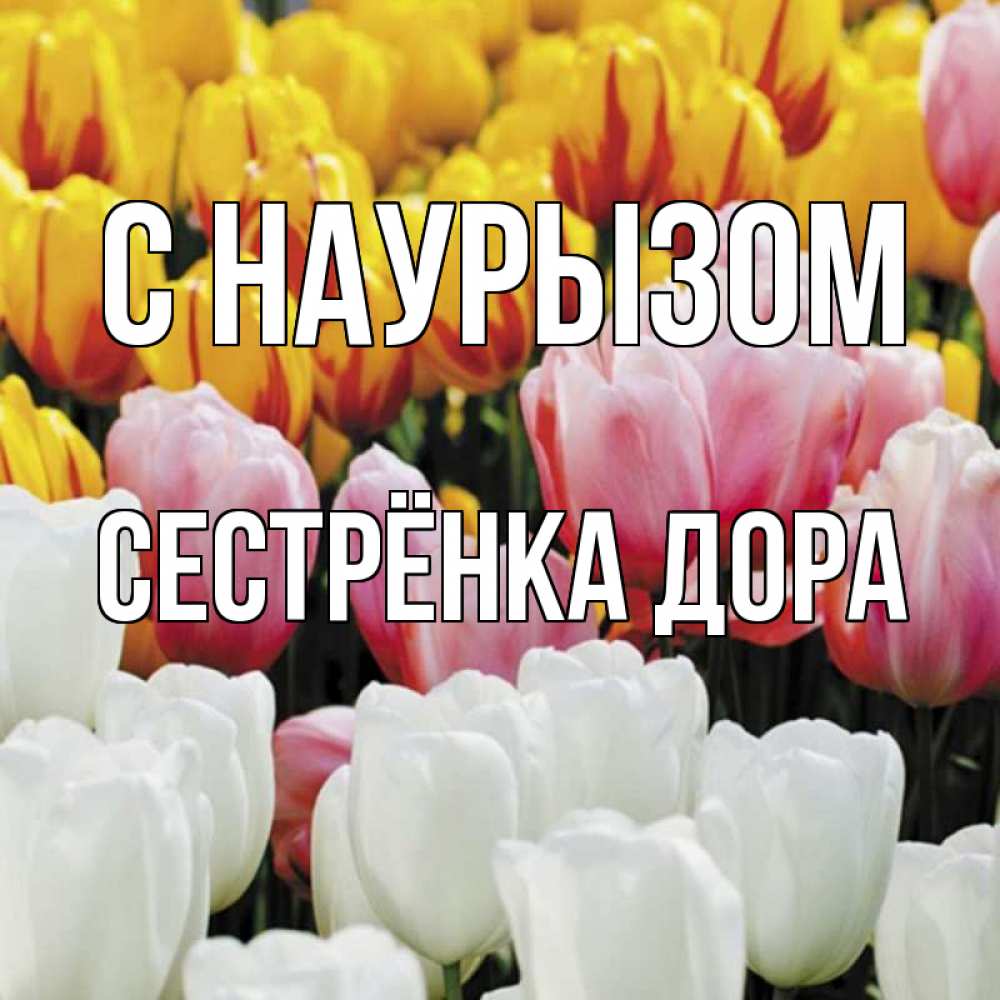 Открытка на каждый день с именем, Сестрёнка-Дора С наурызом разноцветные цветы Прикольная открытка с пожеланием онлайн скачать бесплатно 