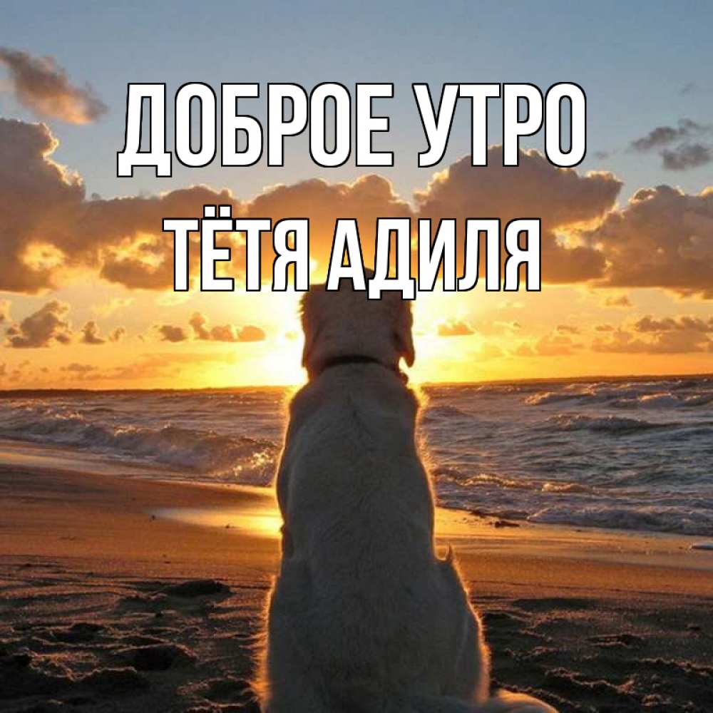 Открытка на каждый день с именем, Тётя-Адиля Доброе утро восход солнца Прикольная открытка с пожеланием онлайн скачать бесплатно 