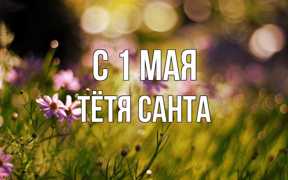 Открытка на каждый день с именем, Тётя-Санта С 1 мая С 1 мая Прикольная открытка с пожеланием онлайн скачать бесплатно 