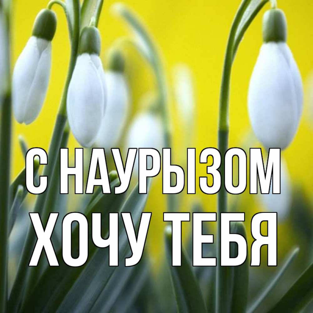 Открытка на каждый день с именем, Хочу-тебя С наурызом весенние цветы Прикольная открытка с пожеланием онлайн скачать бесплатно 