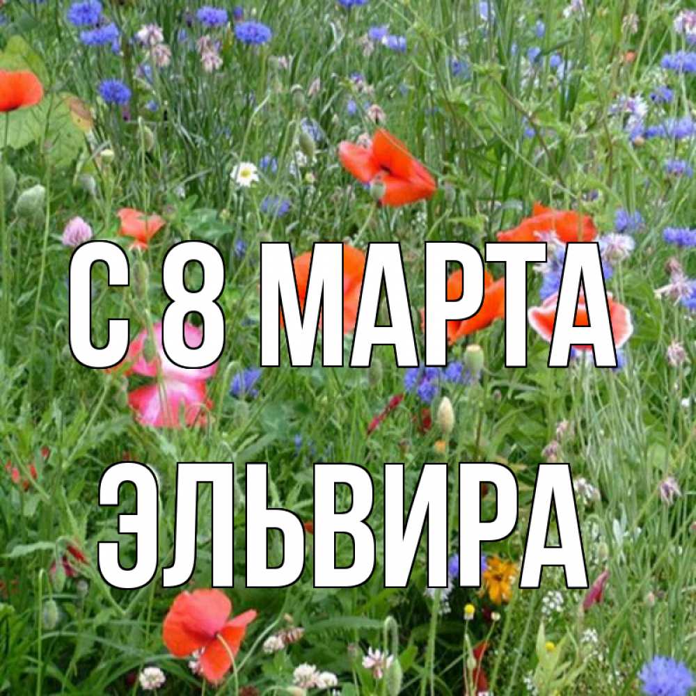 Открытка на каждый день с именем, Эльвира С 8 марта международный женский день 4 Прикольная открытка с пожеланием онлайн скачать бесплатно 