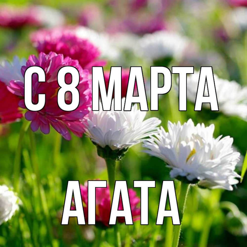 Открытка на каждый день с именем, Агата С 8 МАРТА международный женский день 1 Прикольная открытка с пожеланием онлайн скачать бесплатно 