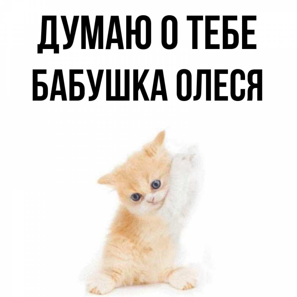 Открытка на каждый день с именем, Бабушка-Олеся Думаю о тебе зверушки и милота Прикольная открытка с пожеланием онлайн скачать бесплатно 