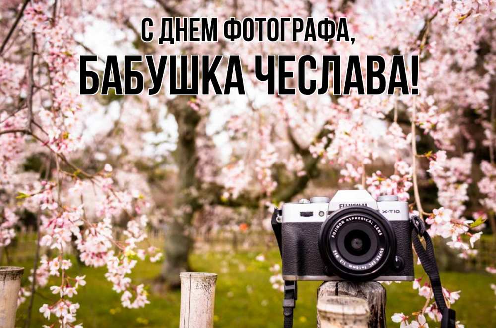 Открытка на каждый день с именем, Бабушка-Чеслава С днем фотографа сирень с днем фотографа, фотоаппарат Прикольная открытка с пожеланием онлайн скачать бесплатно 