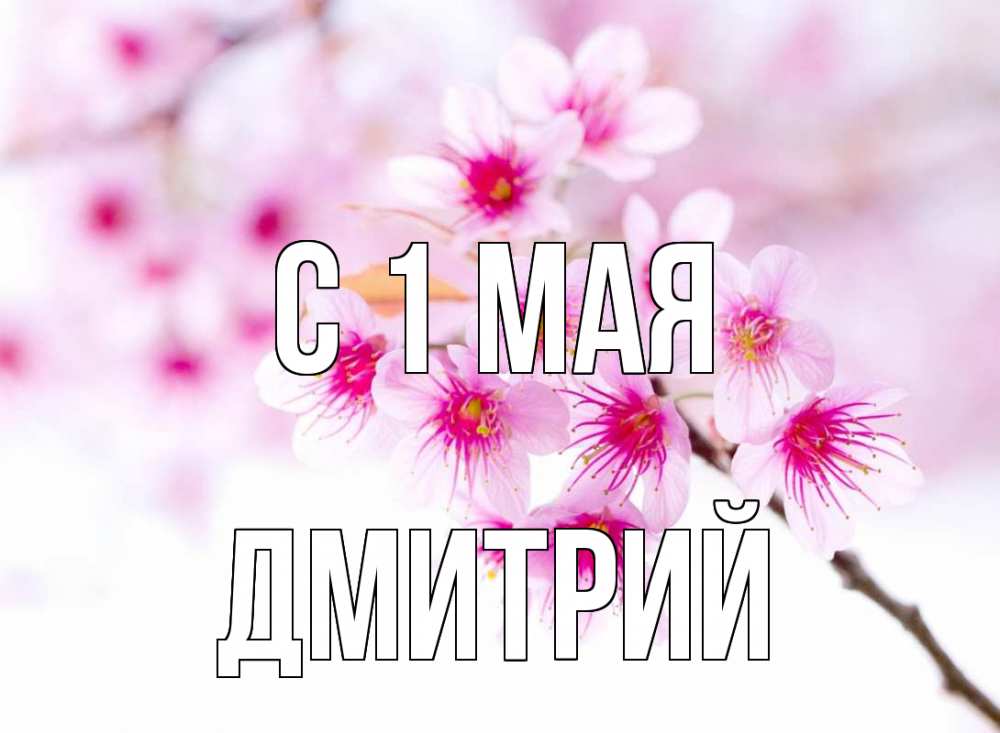 Открытка на каждый день с именем, Дмитрий С 1 мая С 1 мая 2 Прикольная открытка с пожеланием онлайн скачать бесплатно 