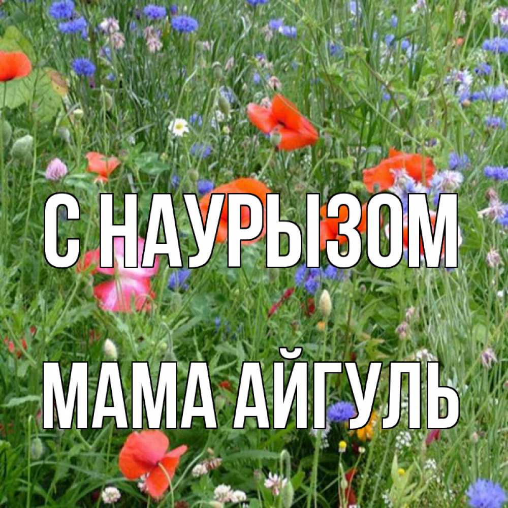 Открытка на каждый день с именем, Мама-Айгуль С наурызом праздник весны наурыз супер открытка Прикольная открытка с пожеланием онлайн скачать бесплатно 