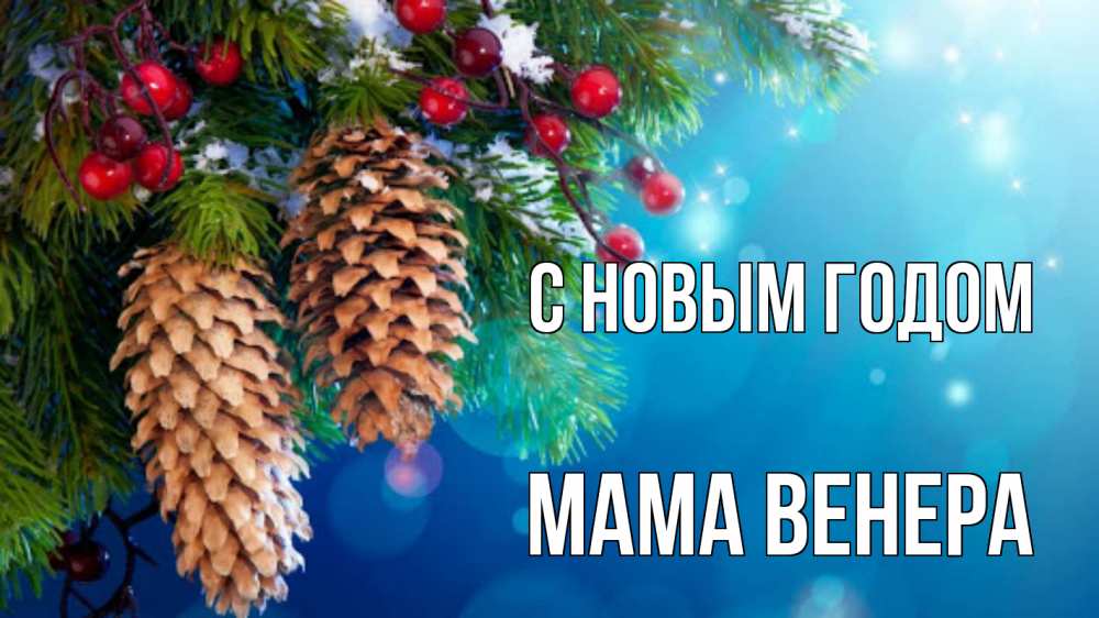 Открытка на каждый день с именем, Мама-Венера С новым годом Новый год, ель, шишки Прикольная открытка с пожеланием онлайн скачать бесплатно 