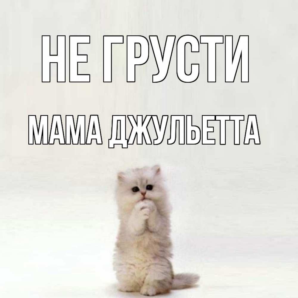 Открытка на каждый день с именем, Мама-Джульетта Не грусти грустный кот Прикольная открытка с пожеланием онлайн скачать бесплатно 