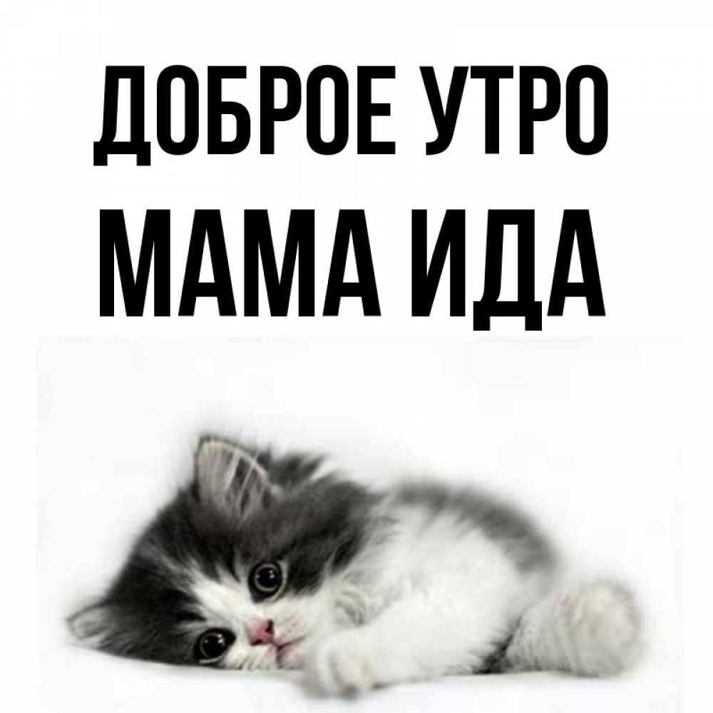 Открытка на каждый день с именем, Мама-Ида Доброе утро кот лапки Прикольная открытка с пожеланием онлайн скачать бесплатно 