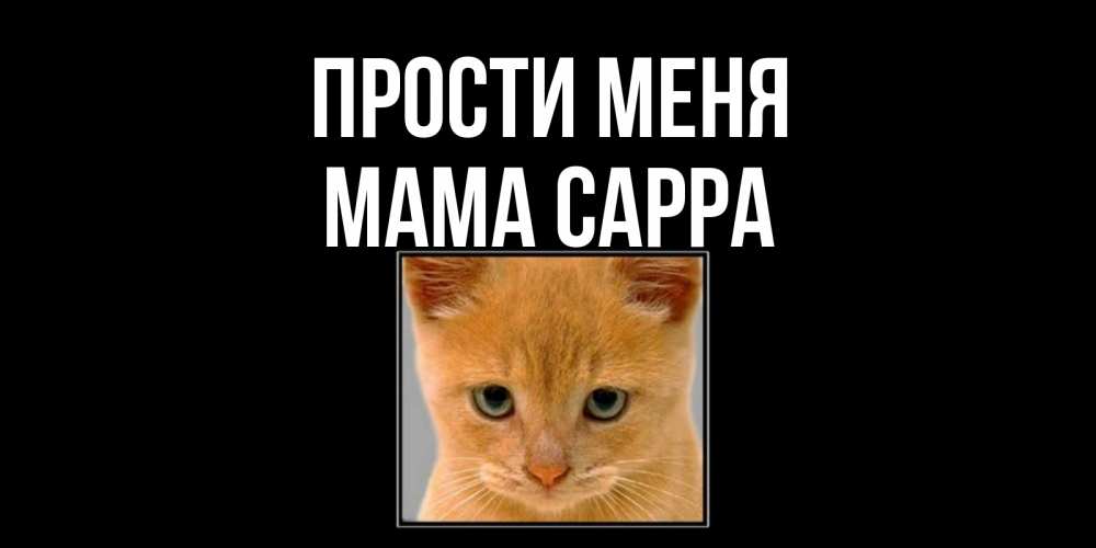 Открытка на каждый день с именем, Мама-Сарра Прости меня рыжий грустный кот просит прощения Прикольная открытка с пожеланием онлайн скачать бесплатно 