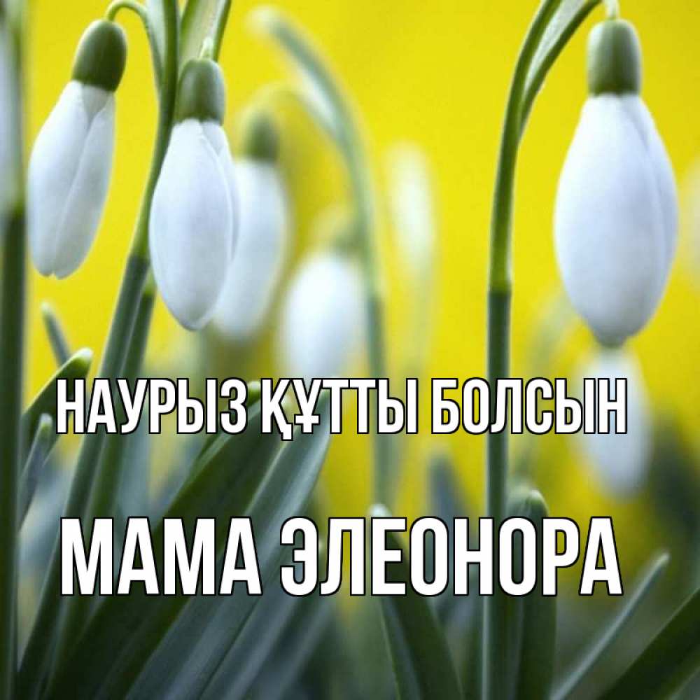 Картинка Наурыз құтты болсын, Мама Элеонора