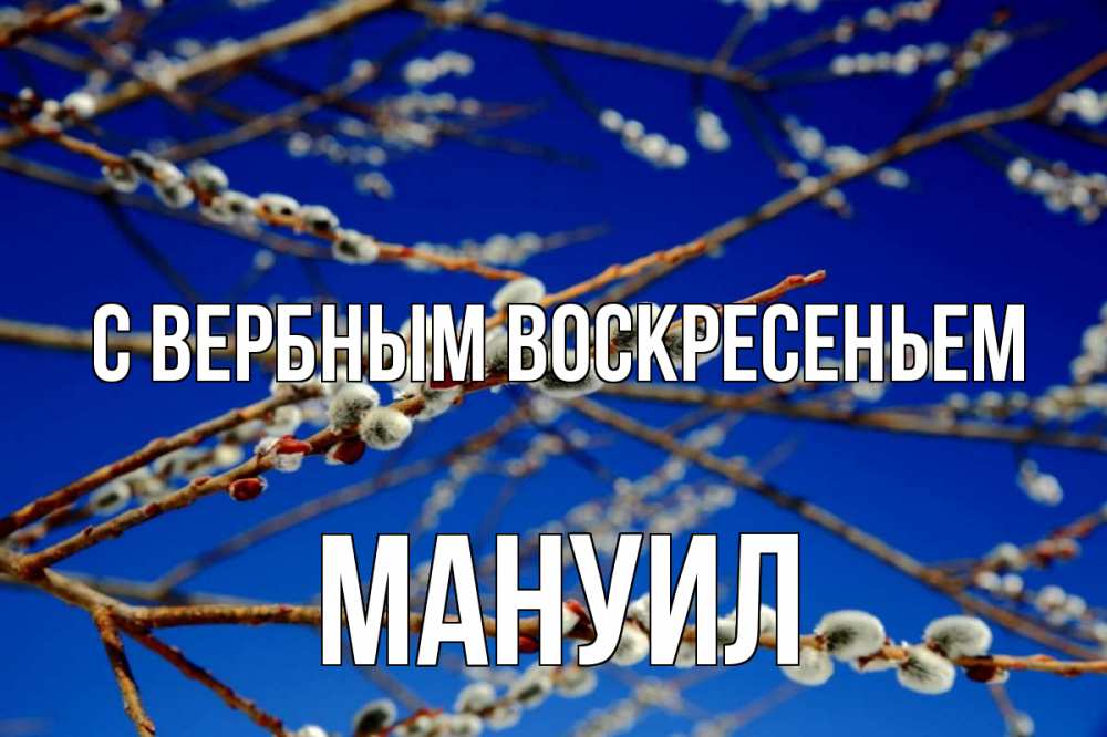 Открытка на каждый день с именем, Мануил С вербным воскресеньем верба Прикольная открытка с пожеланием онлайн скачать бесплатно 
