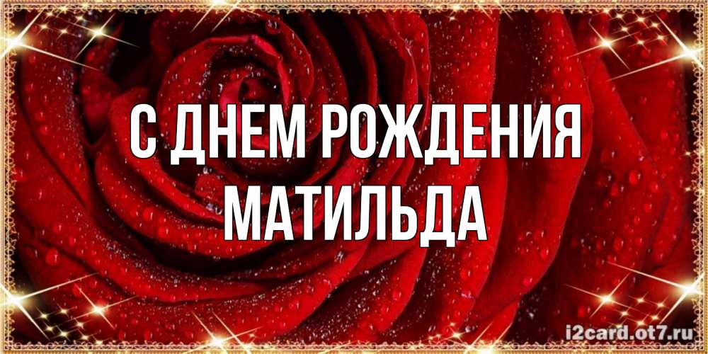 Открытка на каждый день с именем, Матильда С днем рождения роса на розе блестящая в лучах солнца Прикольная открытка с пожеланием онлайн скачать бесплатно 