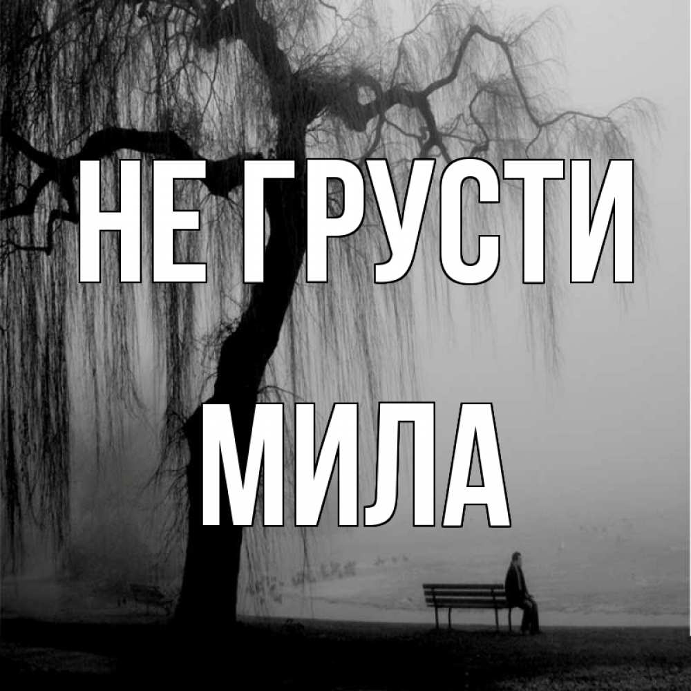 Открытка на каждый день с именем, Мила Не грусти висящие ветки дерева и лавочка под деревом Прикольная открытка с пожеланием онлайн скачать бесплатно 