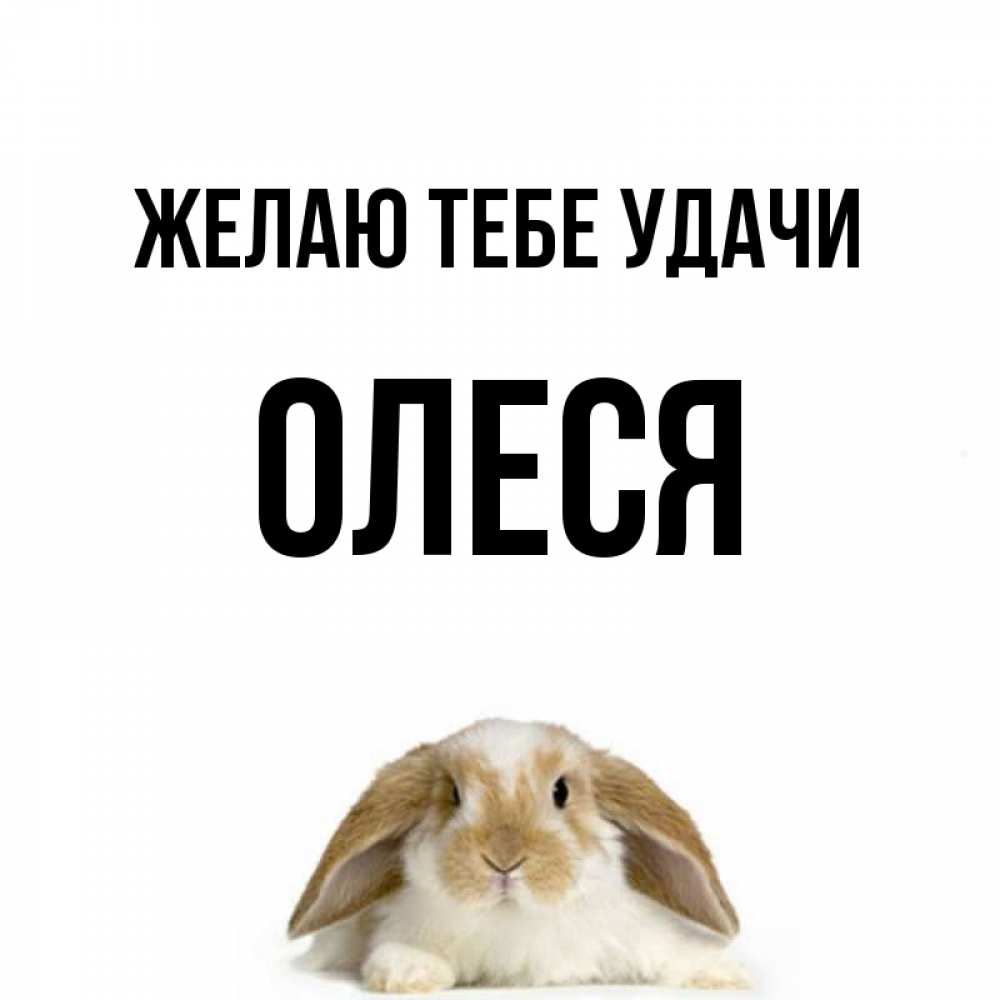 Открытка на каждый день с именем, Олеся Желаю тебе удачи открытки с произвольным текстом который можно вставить в открытку и создать ее самостоятельно бесплатно онлайн Прикольная открытка с пожеланием онлайн скачать бесплатно 