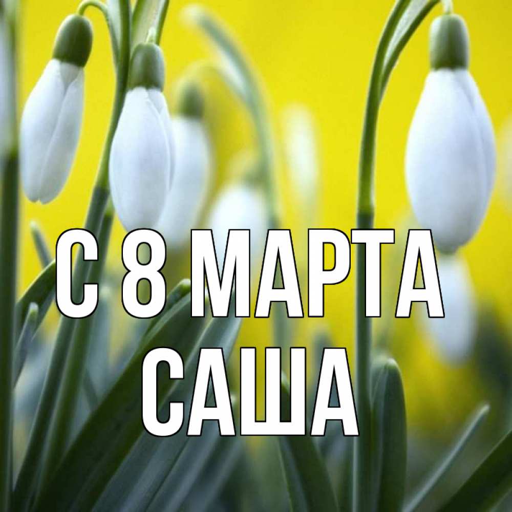 Открытка на каждый день с именем, Саша С 8 МАРТА весенние цветы Прикольная открытка с пожеланием онлайн скачать бесплатно 