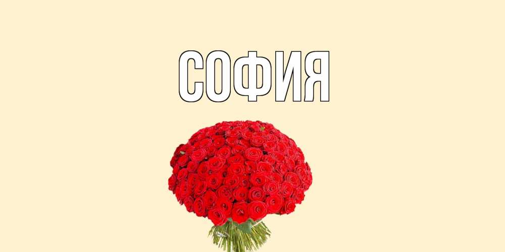 Открытка на каждый день с именем, София Главная розы Прикольная открытка с пожеланием онлайн скачать бесплатно 