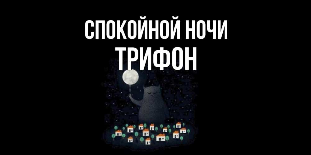 Открытка на каждый день с именем, Трифон Спокойной ночи кот,луна, ночь, звезды Прикольная открытка с пожеланием онлайн скачать бесплатно 