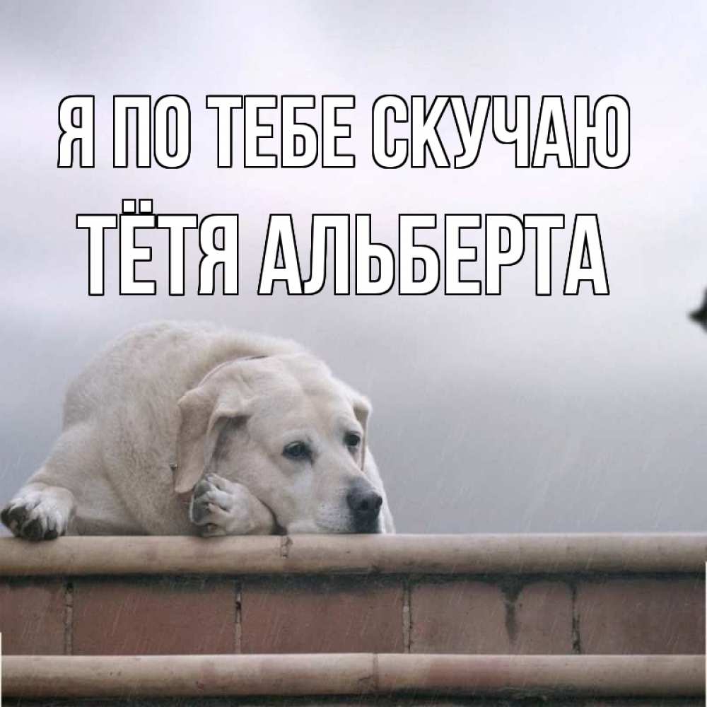 Открытка на каждый день с именем, Тётя-Альберта Я по тебе скучаю ждет Прикольная открытка с пожеланием онлайн скачать бесплатно 