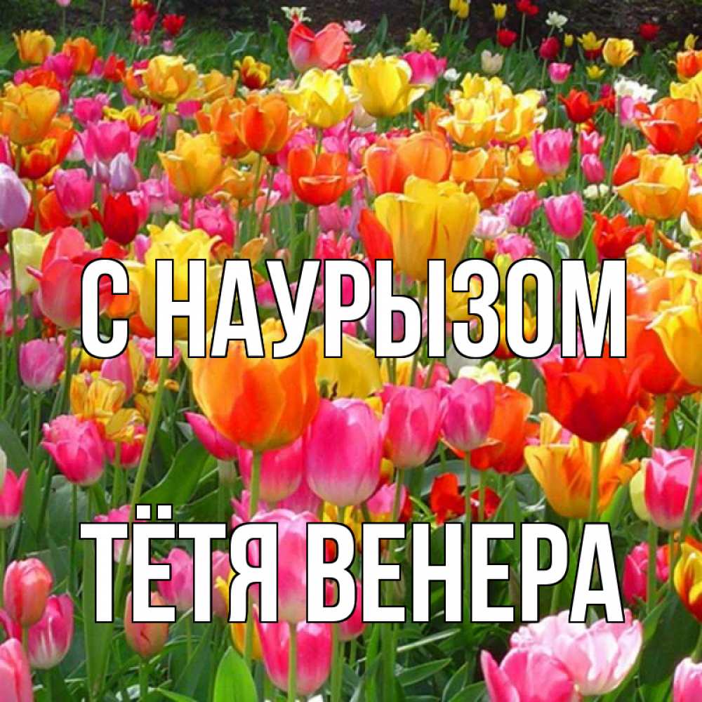 Открытка на каждый день с именем, Тётя-Венера С наурызом праздник весны наурыз 4 Прикольная открытка с пожеланием онлайн скачать бесплатно 