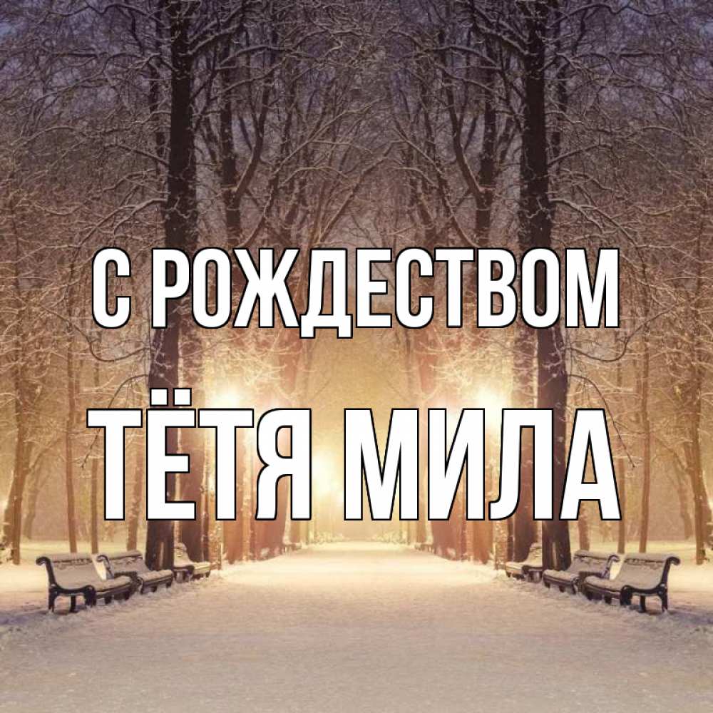 Открытка на каждый день с именем, Тётя-Мила С рождеством зима, парк, фонарь, лес Прикольная открытка с пожеланием онлайн скачать бесплатно 